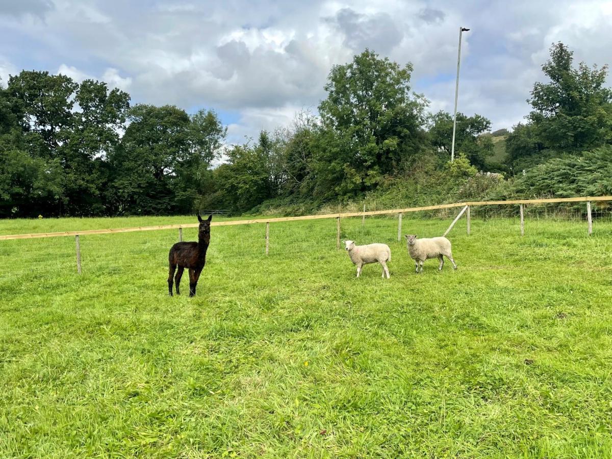 The Annex At Pantglas Farm Pontyclun Esterno foto
